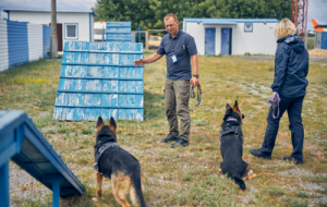 dog-security-img1