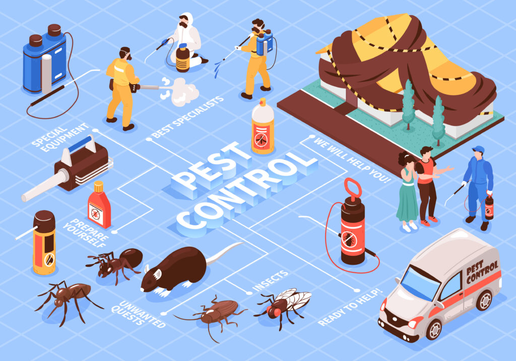 Pest Control Services in Gachibowli